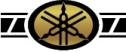 ouvrir le site